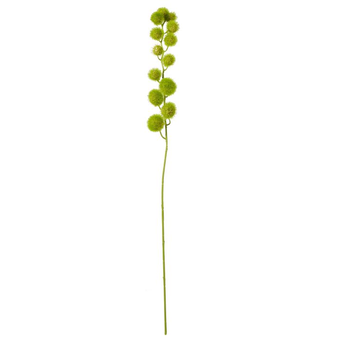 ROGUE MINI MILK WEED STEM GREEN 6X9X80CM