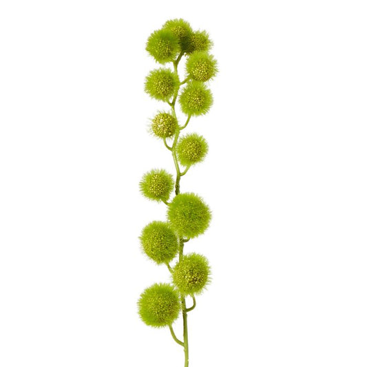 ROGUE MINI MILK WEED STEM GREEN 6X9X80CM