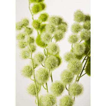 ROGUE MINI MILK WEED STEM GREEN 6X9X80CM