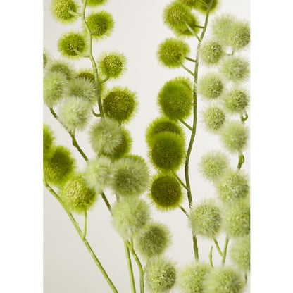 ROGUE MINI MILK WEED STEM GREEN 6X9X80CM