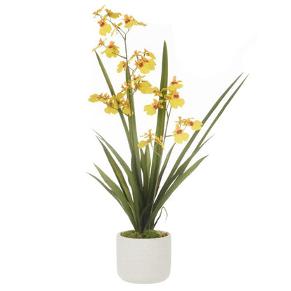 ROGUE DANCING ORCHID POT MUSTARD YELLOW 26X35X58CM