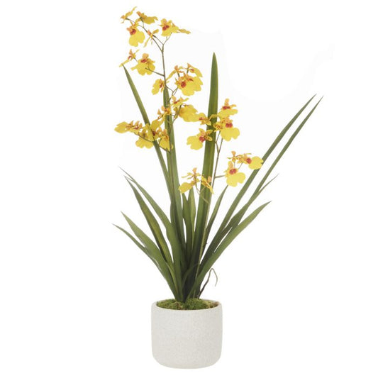 ROGUE DANCING ORCHID POT MUSTARD YELLOW 26X35X58CM