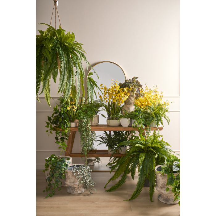 ROGUE DANCING ORCHID POT MUSTARD YELLOW 26X35X58CM