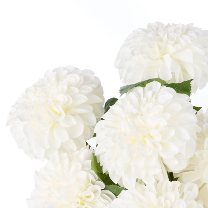 Rogue Chrysanthemum-Gianni Pot White