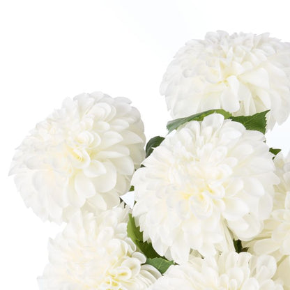 Rogue Chrysanthemum-Gianni Pot White