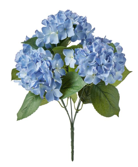 Hydrangea Bush Soft Blue