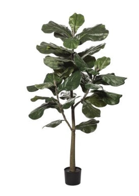 Rogue Fiddle Tree Green 70x70x152cm