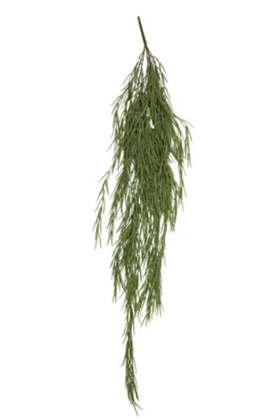 Hanging Pencil Cactus
