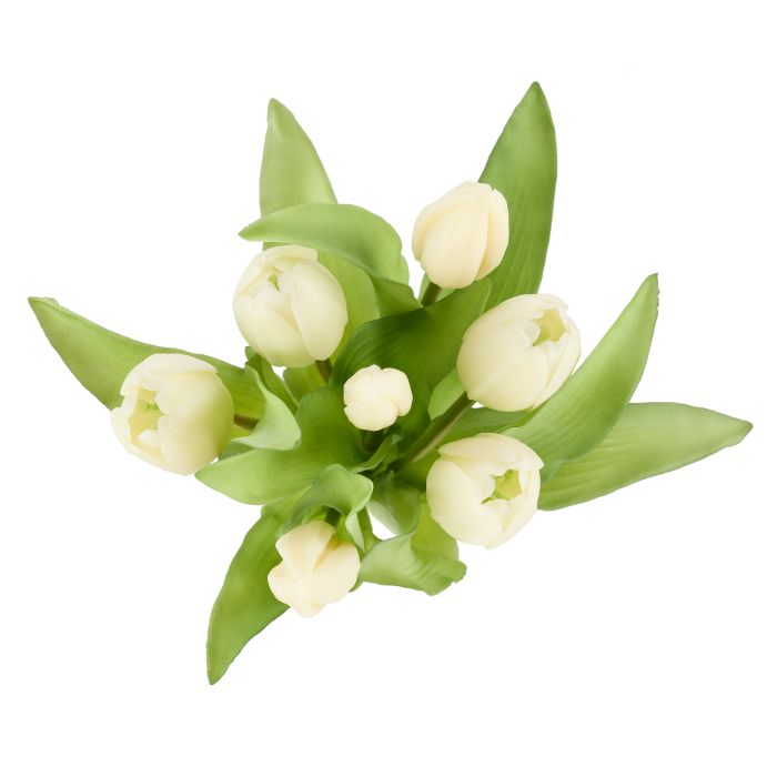 Tulip Bunch Rogue  White 20x20x30cm
