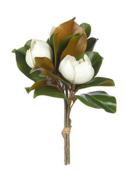 Magnolia Bunch